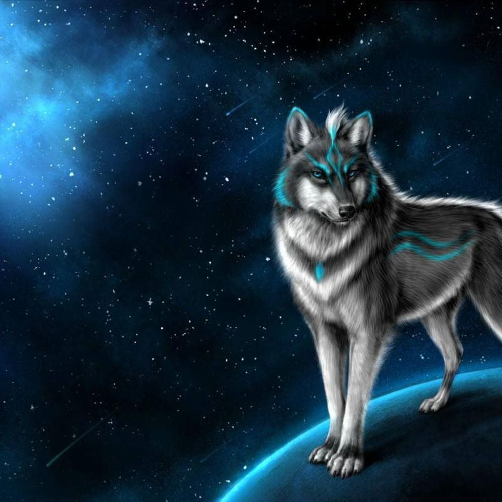 Meet your Posher, Evan